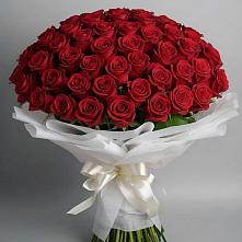 Букет 101 Красная роза Блэк Мэджик в Захарково