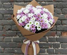 Букет цветов из:  Хризантемы #REPLACE_PRED# Захарково