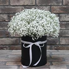 Цветочная композиция из Гипсофила в шляпной коробке в Захарково