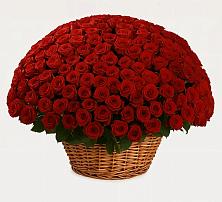 Премиум букет из: Розы в Захарково